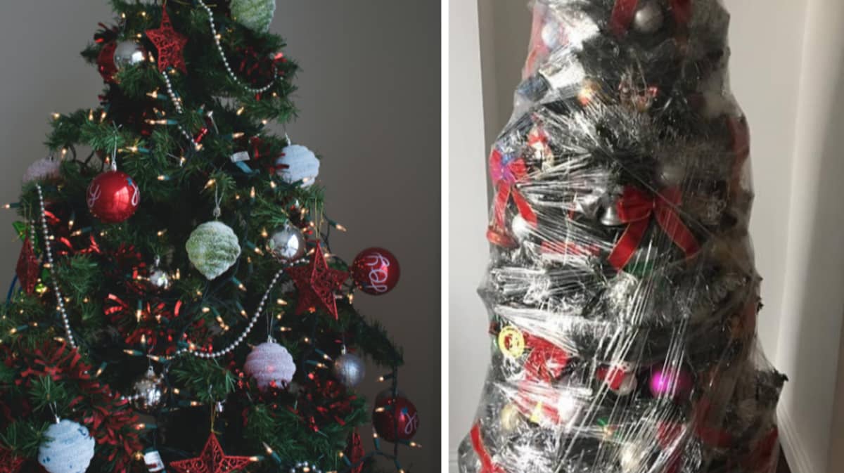 wrap christmas tree in saran wrap