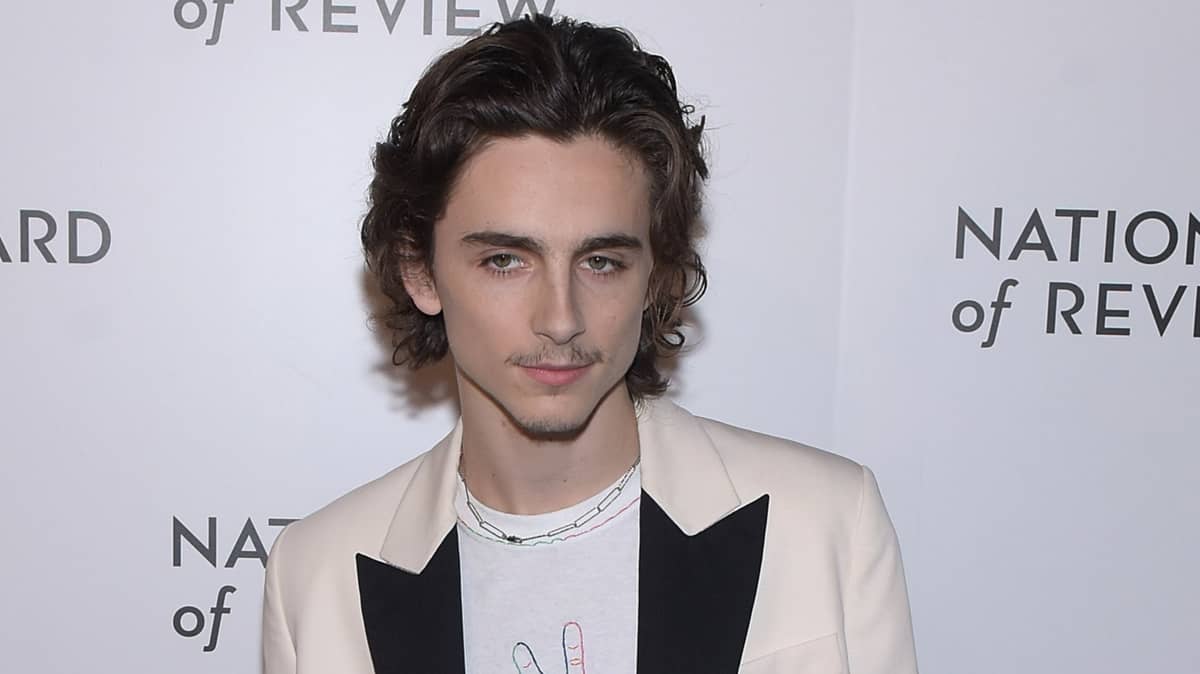 Wonka: Timothée Chalamet Cast As Lead In New Charlie And The Chocolate ...