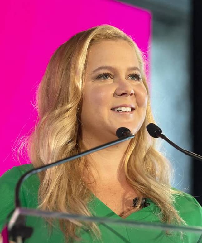 Amy Schumer Praised For Bravely Showing Her C Section Scars In Honest Naked Selfie