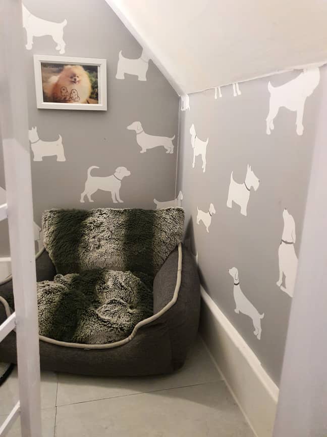 Woman Creates Amazing Dogbed In Cupboard Under The Stairs For Just £60 ...