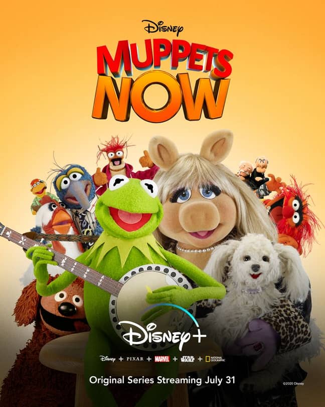 A Brand New Muppets Show Is Coming To Disney In July Tyla