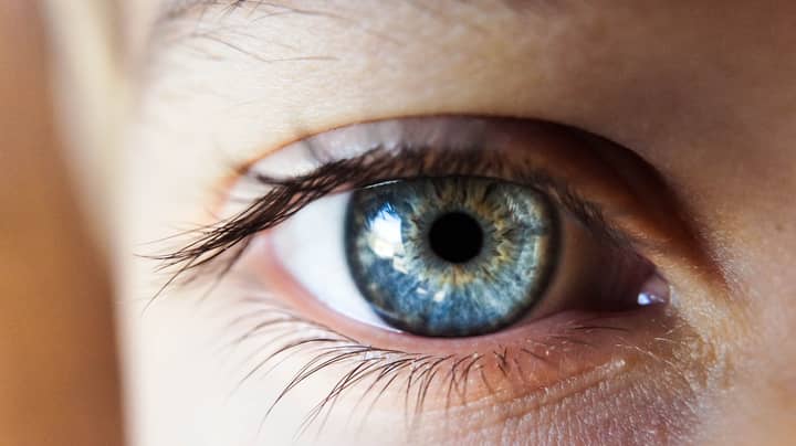 Science Shows That Everyone With Blue Eyes Have One Common Ancestor Tyla